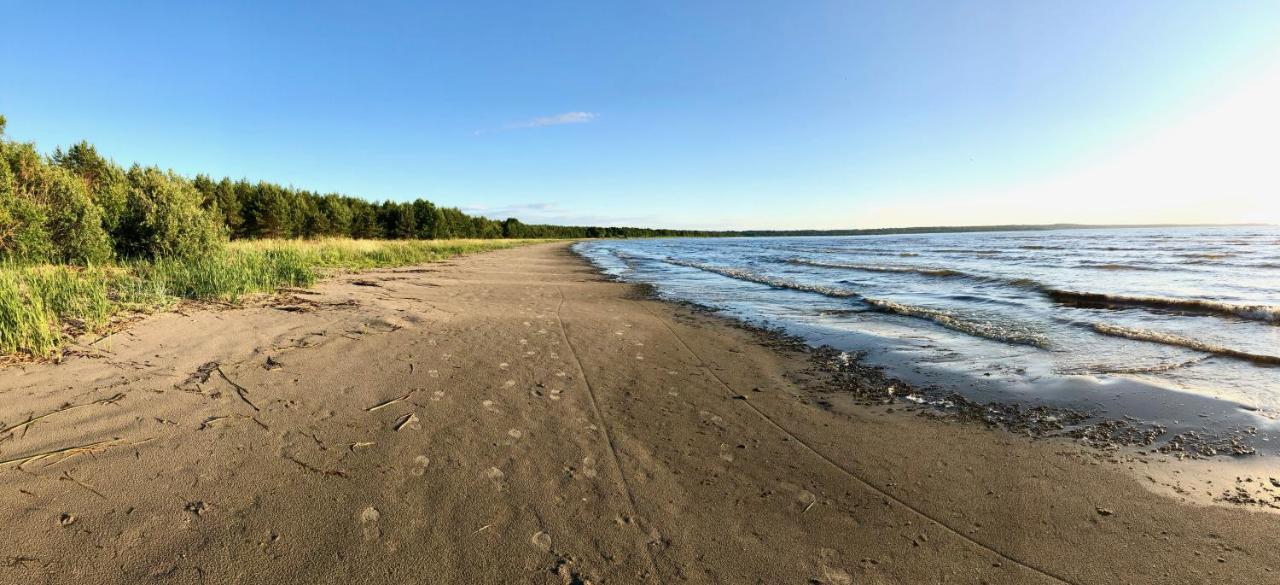 Sea View Studio Apartments By The Beach Ihasalu Bagian luar foto